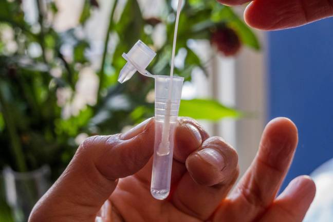 Take for Omicron side effects to show up Take for Omicron side effects to show up