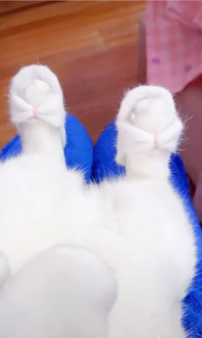 It’s a trend that’s been seen everywhere on the likes of social media platforms TikTok and Instagram, with other cat-owners using their pets’ shedded fur to create sandals, flip-flops - you name it! (TikTok @ user2023152209317).
