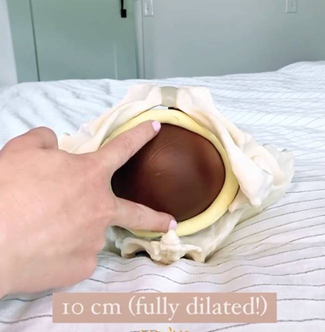 The video also showed how much the cervix has to dilate to be 'fully dilated'. (Credit: TikTok/thegansettgal)