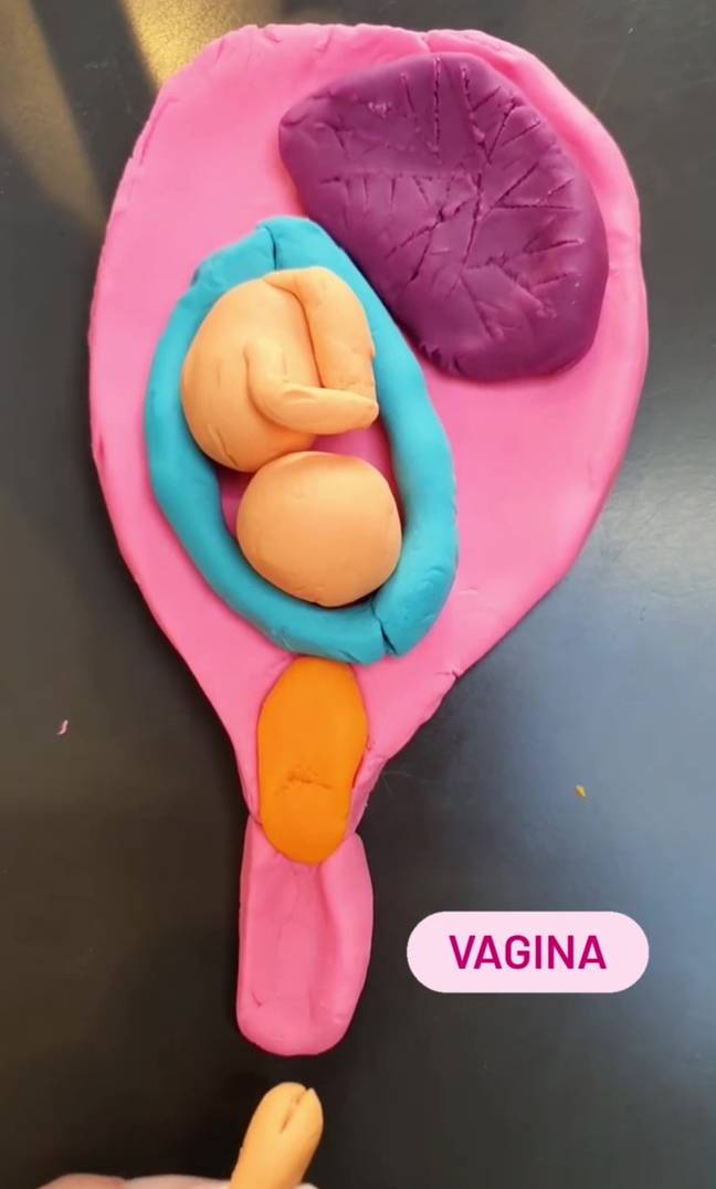 Louise's video complete with Play-Doh anatomy shows why sex can be safe in pregnancy. (Credit: Kennedy News)