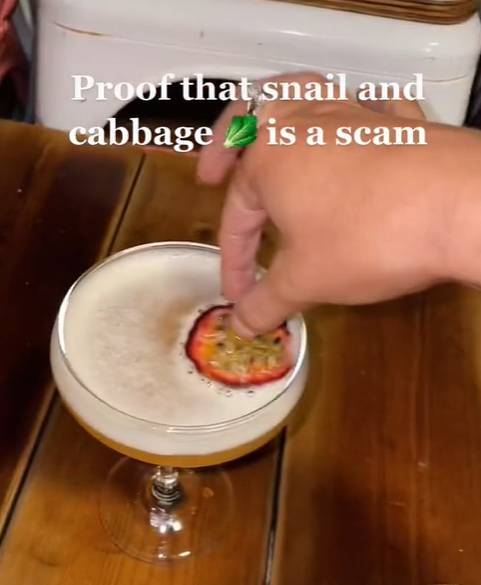 Many use &quot;snail and cabbage&quot; as an alternative name for Slug &amp; Lettuce (Credit: TikTok/emilyjanepalmer)