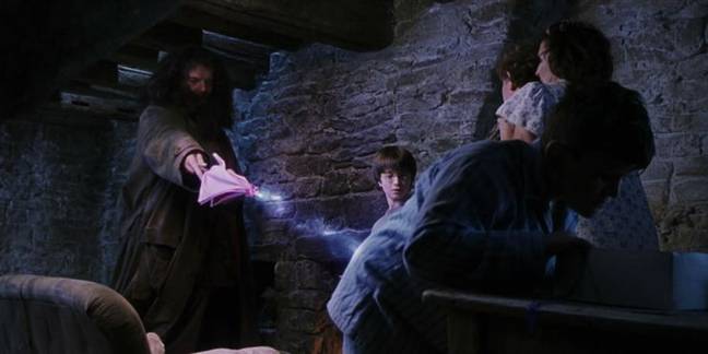Hagrid gives bully Dudley a tail (Credit: Warner Bros)