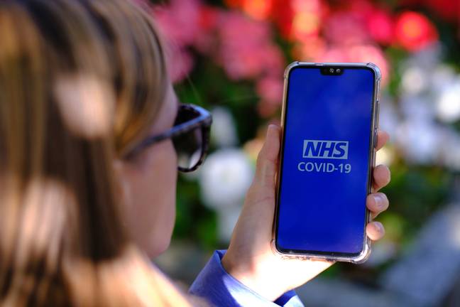 The pass can be accessed on the NHS App (Credit: Shutterstock)