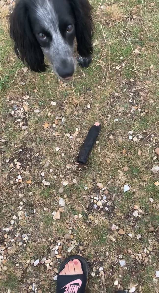 Doug dropped the dildo by Molly's foot to play fetch (Credit: Kennedy)