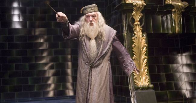 Dumbledore means bumblebee (Credit: Warner Bros)