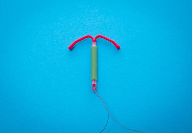 Just in case you're not sure, an IUD is a form of contraception for those with vulvas (Unsplash Reproductive Health Supplies Coalition).