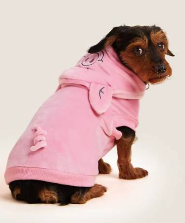 M&amp;S is now selling a dog jumper (Credit: M&amp;S)