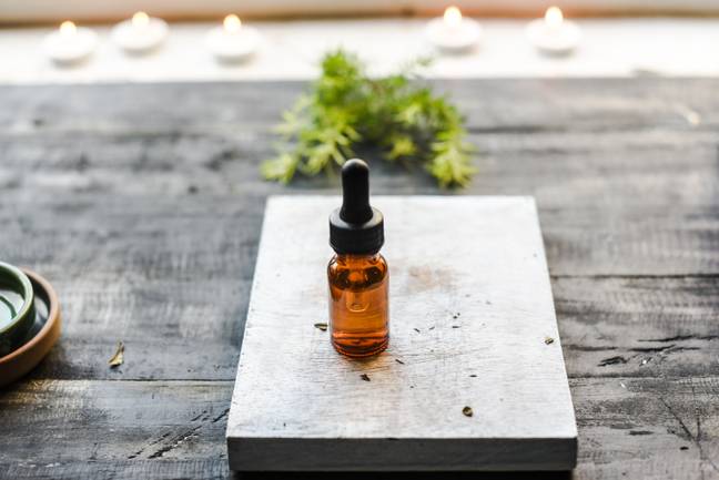 All you need to do is spray or dip your old tea bags into peppermint, eucalyptus oil or deep-heat muscle treatment - anything strong-smelling which uses natural derivatives (Unsplash).