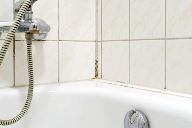 Bathrooms are the perfect environment for mould to grow (Credit: Shutterstock)