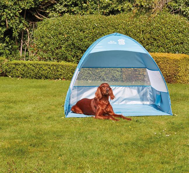 Aldi is also selling a pop-up shelter for your pet (Credit: Aldi)
