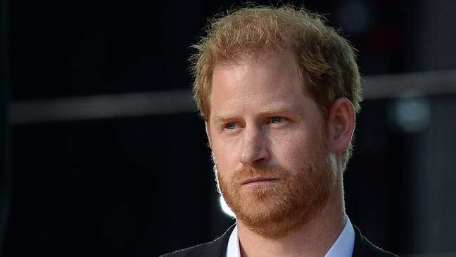 Prince Harry has trimmed his usual look (Credit: Alamy)