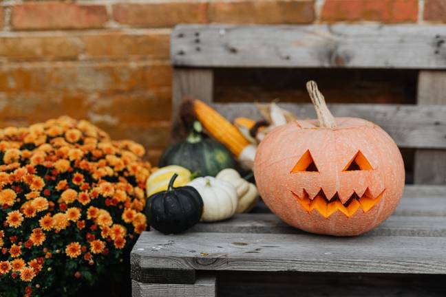 What controversial Halloween item will go viral next? (Credit: Pexels/Karolina Grabowska)