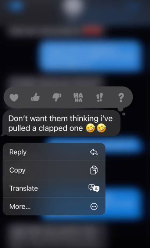 The boyfriend's messages received a huge response in the comments section (Credit: xlily.brown8x/TikTok)