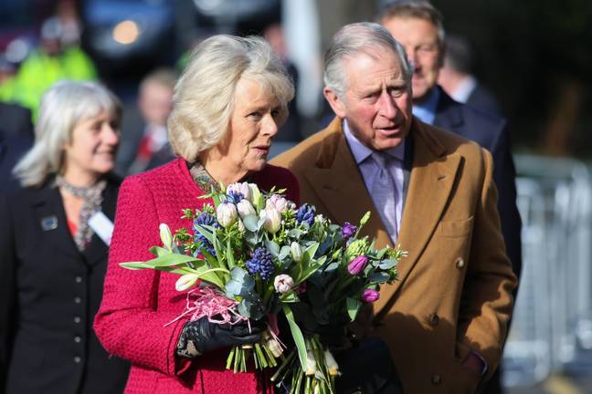 Prince Charles and Camilla got married in 2005 (Credit: Alamy)