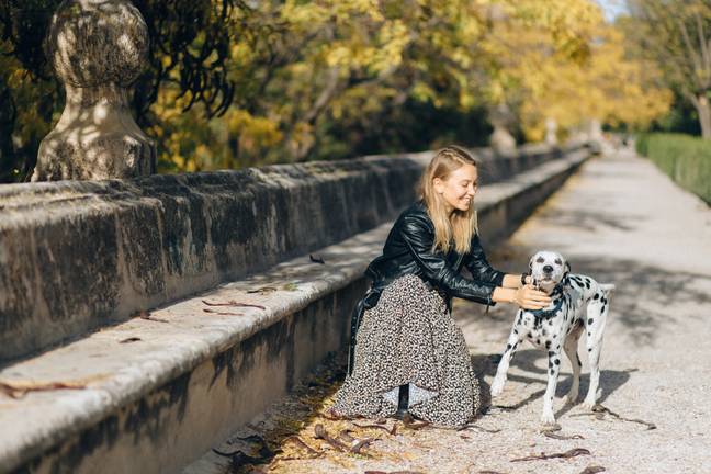 A woman has shared the moment she was scolded by a teacher over her dog's name. Credit: Pexels