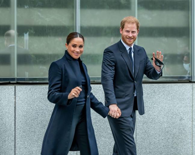  At the start of 2020, Harry and Meghan announced they would be stepping down from their roles (Credit: Alamy)