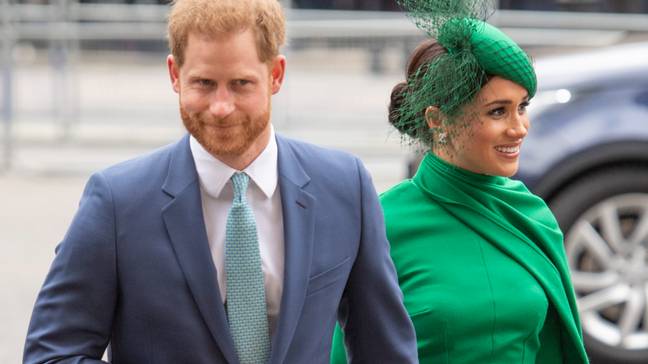 Prince Harry and Meghan Markle used their royal titles for Archie's birth certificate. (Credit: PA)