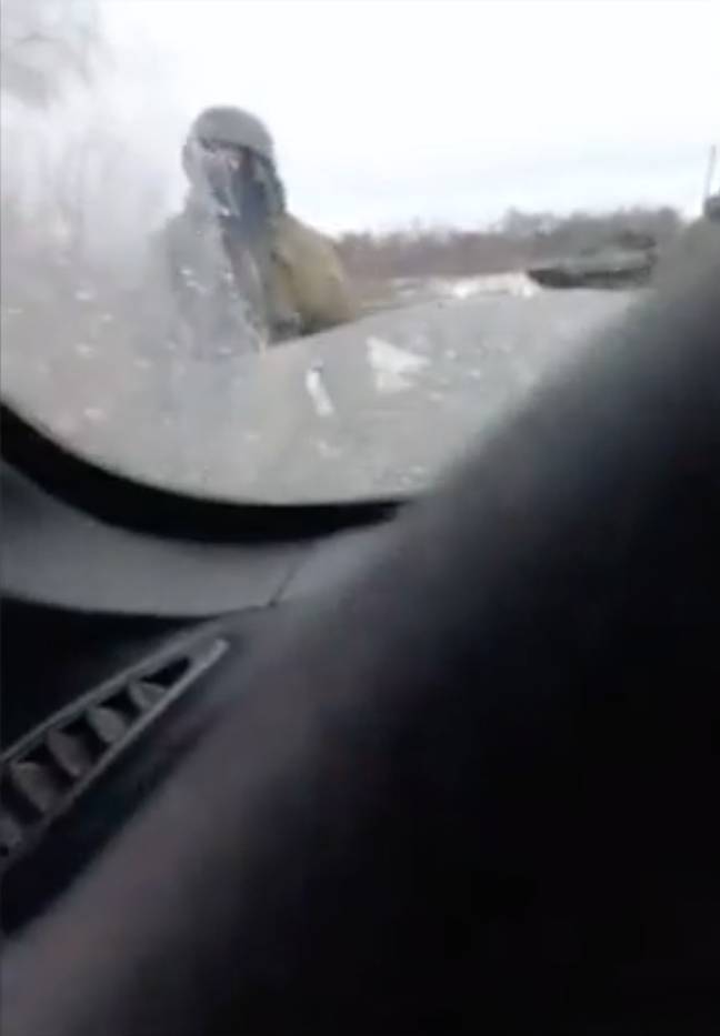 The soldier can be seen approaching the car (Credit: e2wnews)