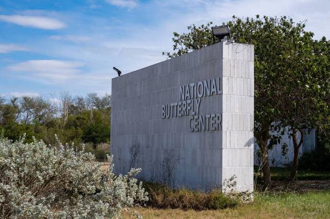 National Butterfly Centre (Alamy)