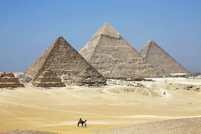 A camel in front of the pyramids. Credit: Friedrich Stark/Alamy Stock Photo