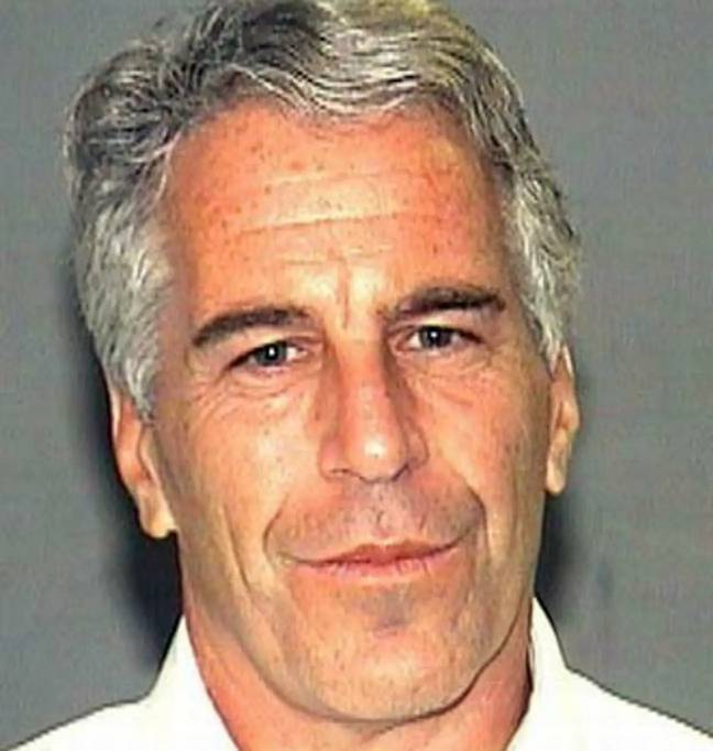 Jeffrey Epstein died in his cell in 2019. Credit: Alamy