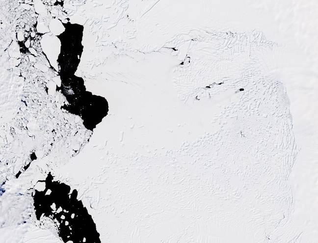 El glaciar Thwaites ha sido apodado Doomsday.  crédito: científico