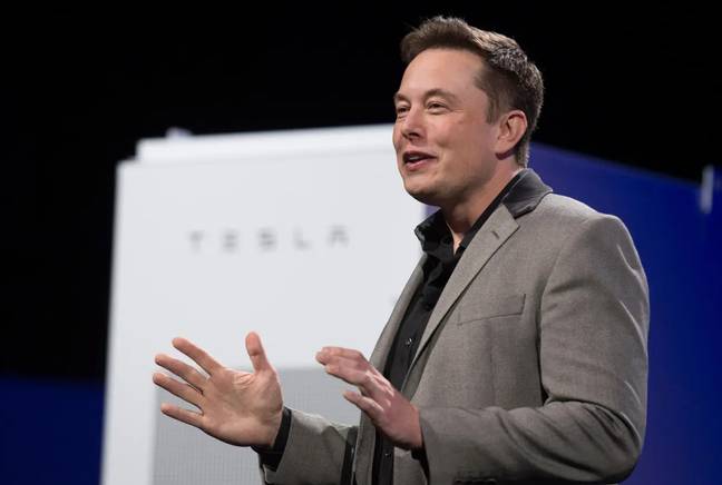 Tesla founder Elon Musk. Credit: Alamy