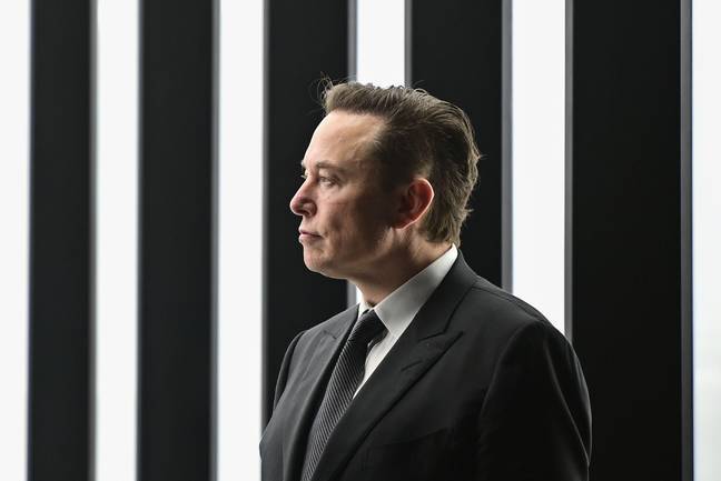 The CEO of Tesla has a unique management style.  Credit: Alamy