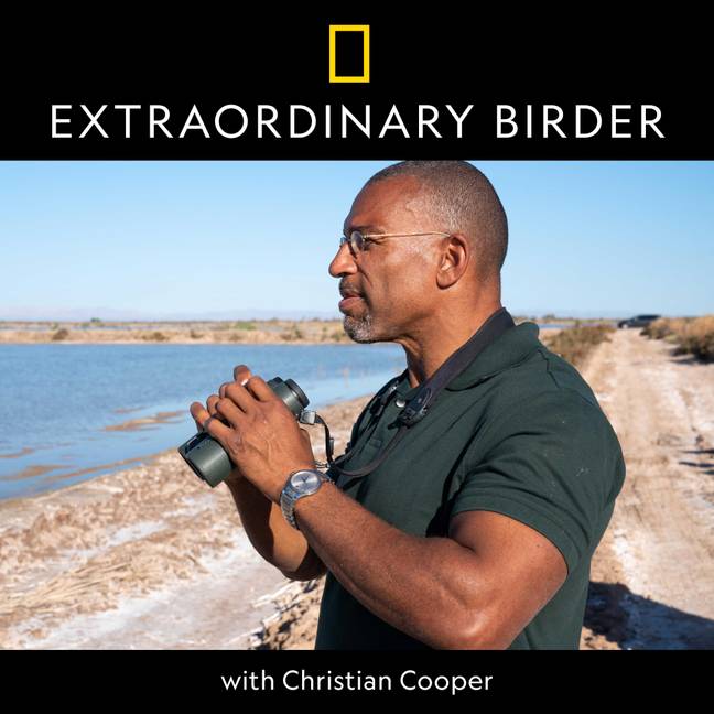 Christian Cooper. Credit: National Geographic