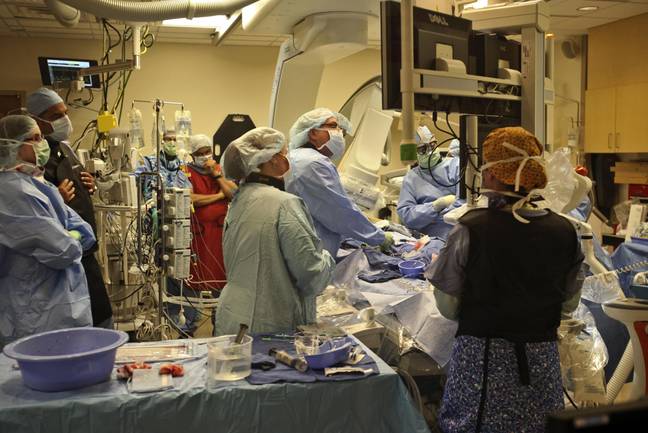 Cow Heart Transplant Recipient Says World First Procedure Was Like Star Wars