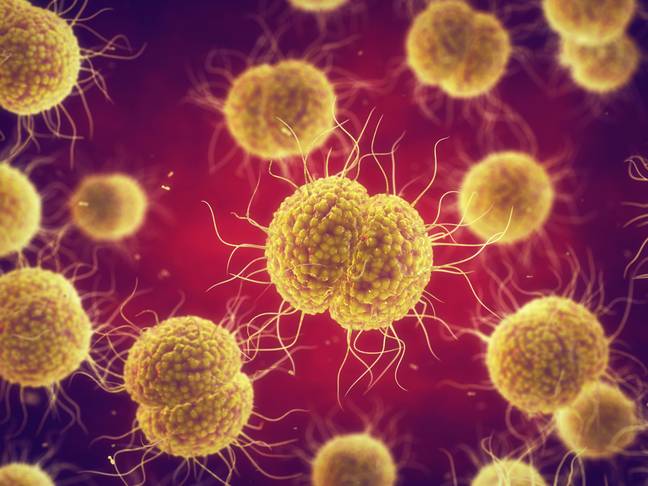 The spread of gonorrhea has increased in recent years. Credit: Alamy