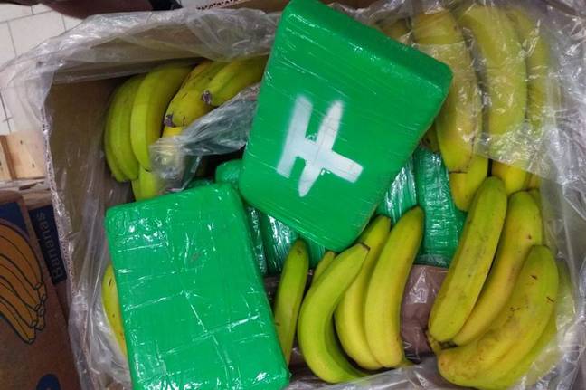 The cocaine was found inside boxes of bananas. Credit: @PolicieCZ/Twitter