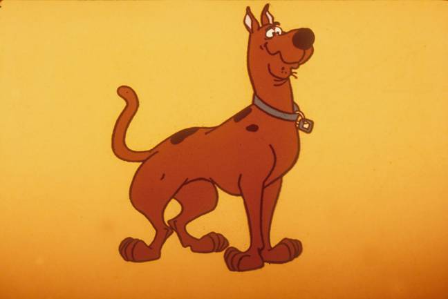 Scooby-Doo is not in the Velma series. Credit: Moviestore Collection Ltd / Alamy Stock Photo