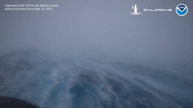 The drone endured 50ft waves and 100mph winds to get the footage. Credit: Saildrone/NOAA