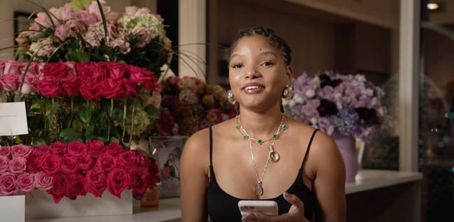 The Little Mermaid star Halle Bailey has once again addressed backlash received over her casting. Credit: YouTube/hstar324