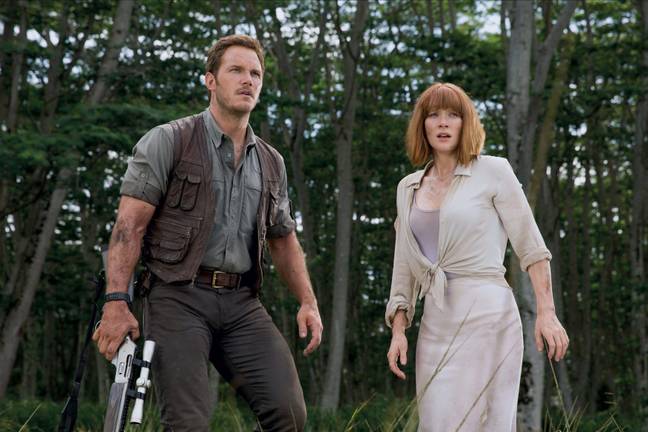 Bryce Dallas Howard previously said she was paid less for her role than co-star Chris Pratt. Credit: Maximum Film / Alamy Stock Photo