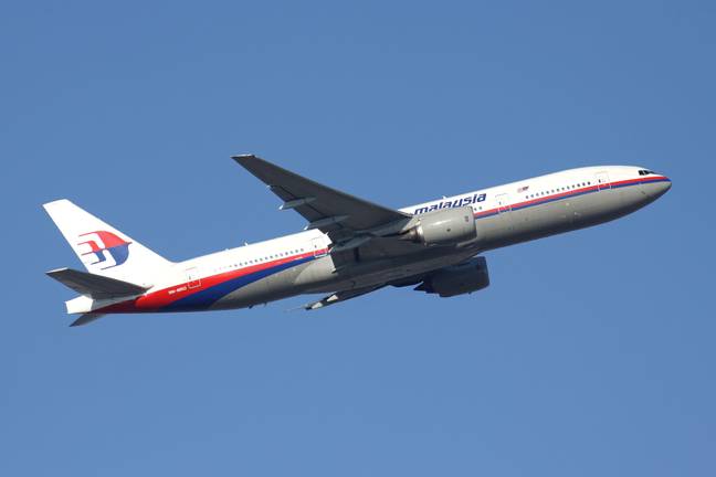 Malaysia Airlines flight (Alamy)