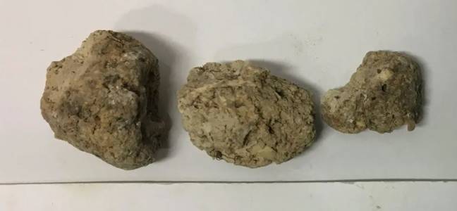 Fossilized poo has been found near Stonehenge. Credit: University of Cambridge.