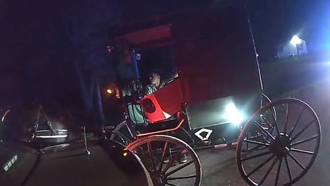 Police responded to reports of a horse and buggy 'going all over the road'. Credit: Ashtabula County Sheriff's Office