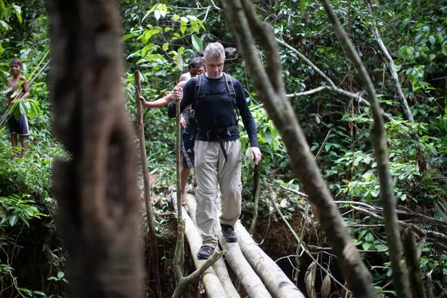 Human remains have been found in the search for Dom Phillips in the Amazon rainforest. Credit: Getty Images