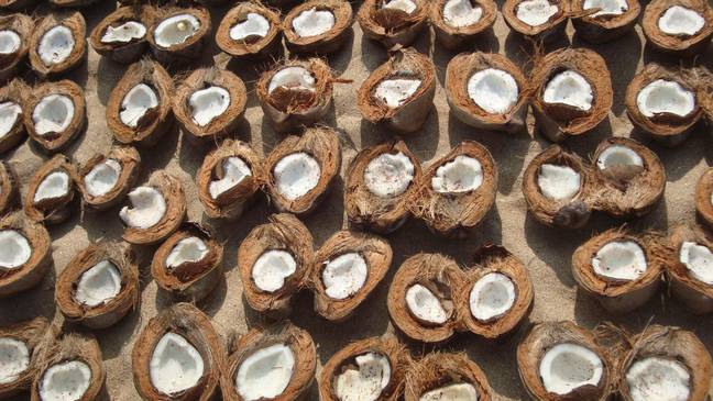 Fresh coconuts (Alamy)