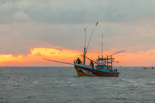 A local fisherman was arrested in connection to the disappearances. Credit: Unsplash.