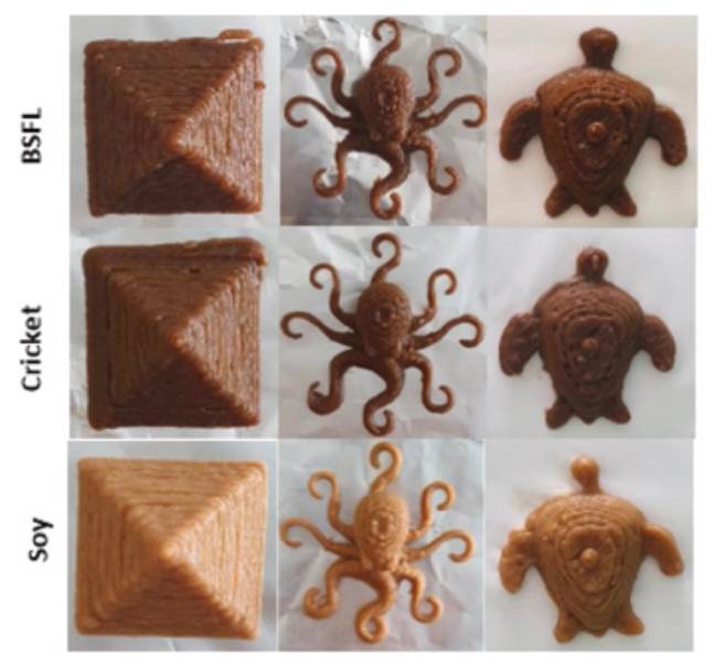 Researchers 3D printed food made out of insects. Credit: SUTD