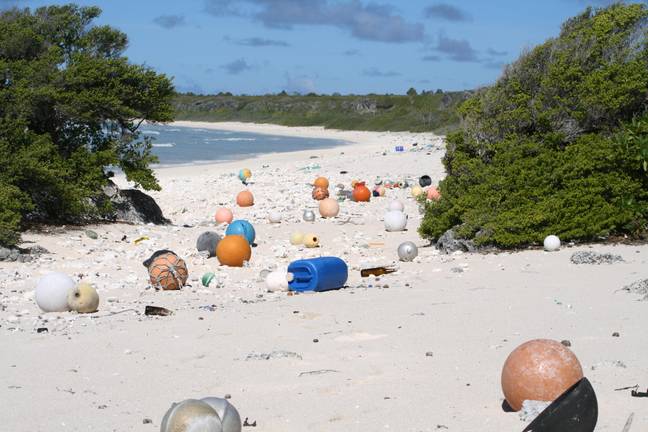 Rubbish lying on the shore of Henderson Island.  (Alamy) 