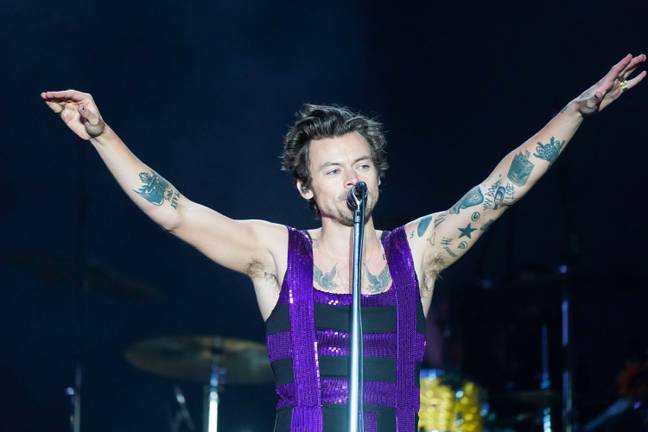 Harry Styles' concert was canceled following the deadly shooting. Credit: Alamy.