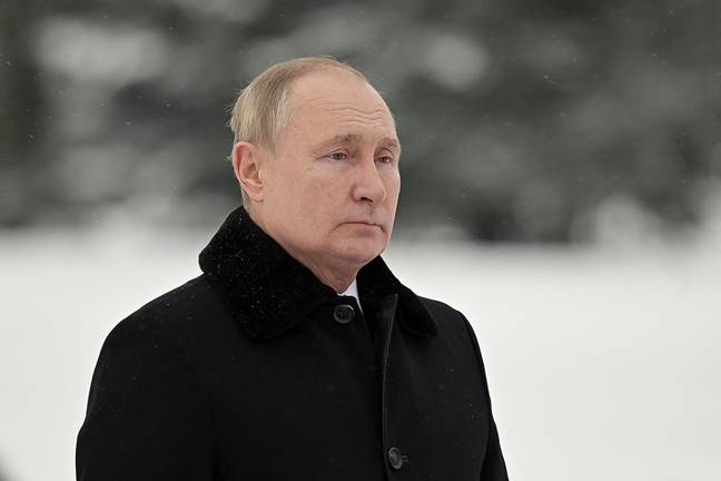 Vladimir Putin (Alamy)