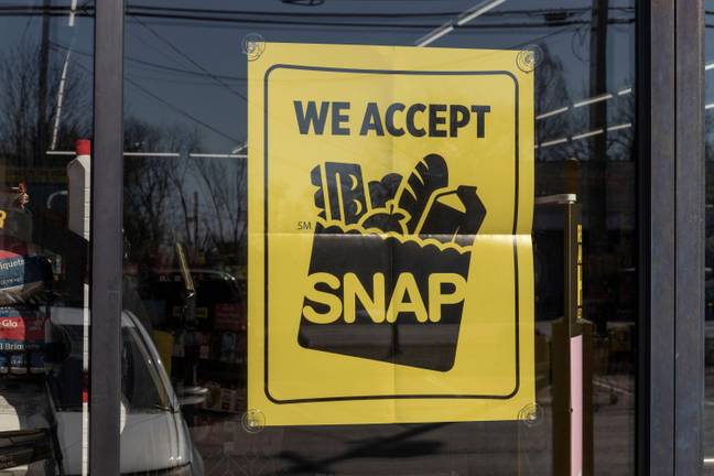 SNAP food stamps (Alamy)