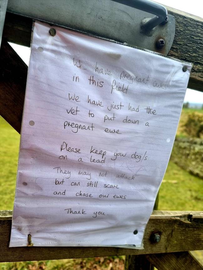The note from a farmer to dog walkers. Credit: Facebook/Cheshire Police Rural Crime Team