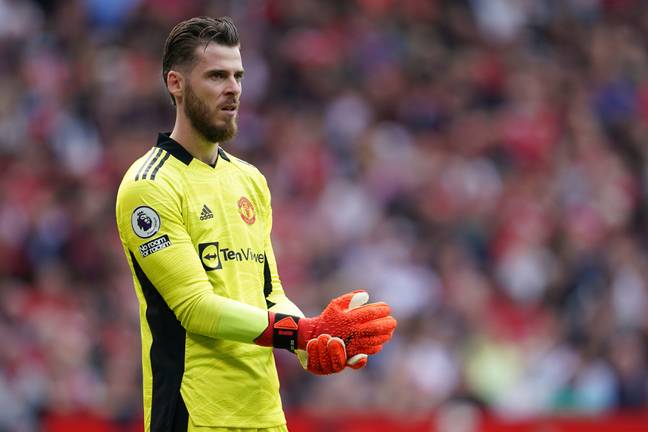 Ferdinand would prefer to see De Gea named captain (Image: Alamy)