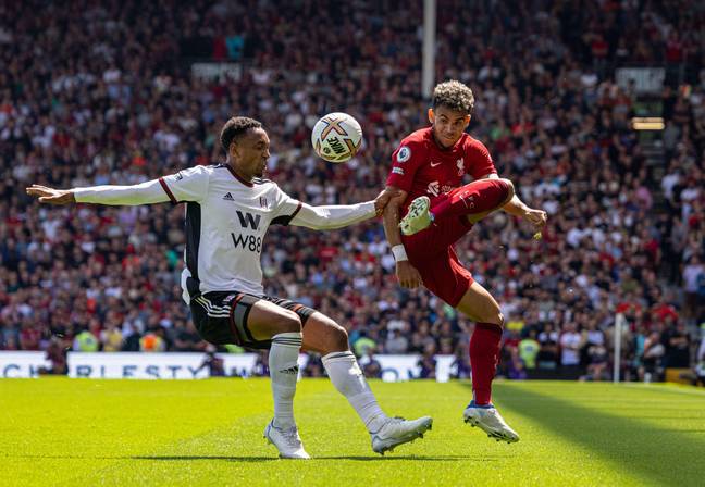 Liverpool were held to a 2-2 draw by Fulham in their opening game of the new Premier League season (Image: Alamy)